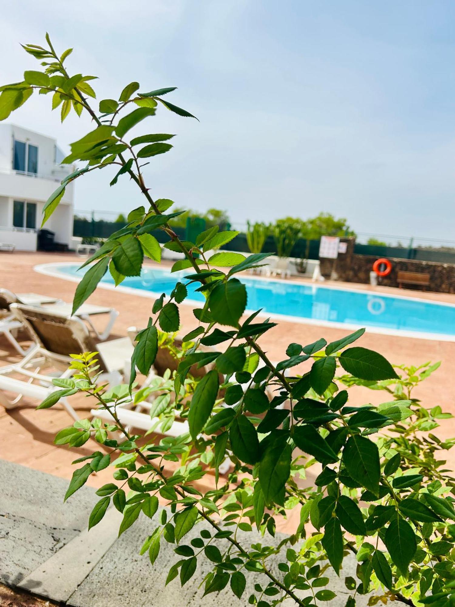 Casa Alexia Apartment Teguise  Bagian luar foto